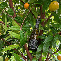 ACERTIJO - Cerveza Artesanal - Costa Rica Meadery - Costa Rica Meadery