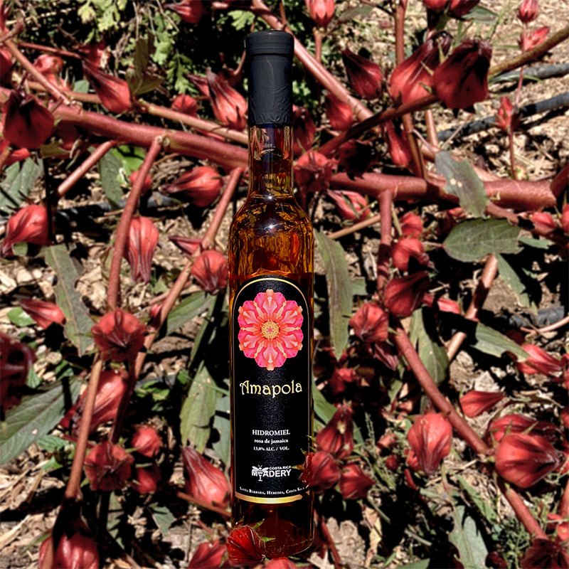 AMAPOLA - Vino de Miel - Costa Rica Meadery - Costa Rica Meadery