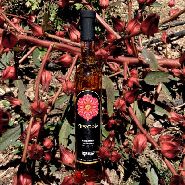 AMAPOLA - Vino de Miel - Costa Rica Meadery - Costa Rica Meadery