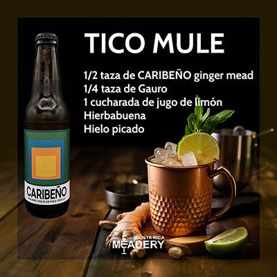 CARIBEÑO - Hidromiel Espumoso - Costa Rica Meadery - Costa Rica Meadery