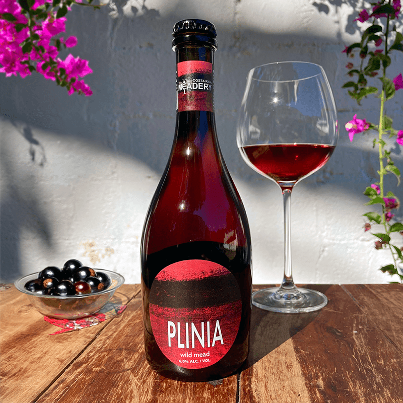 PLINIA - Hidromiel Espumoso - Costa Rica Meadery - Costa Rica Meadery