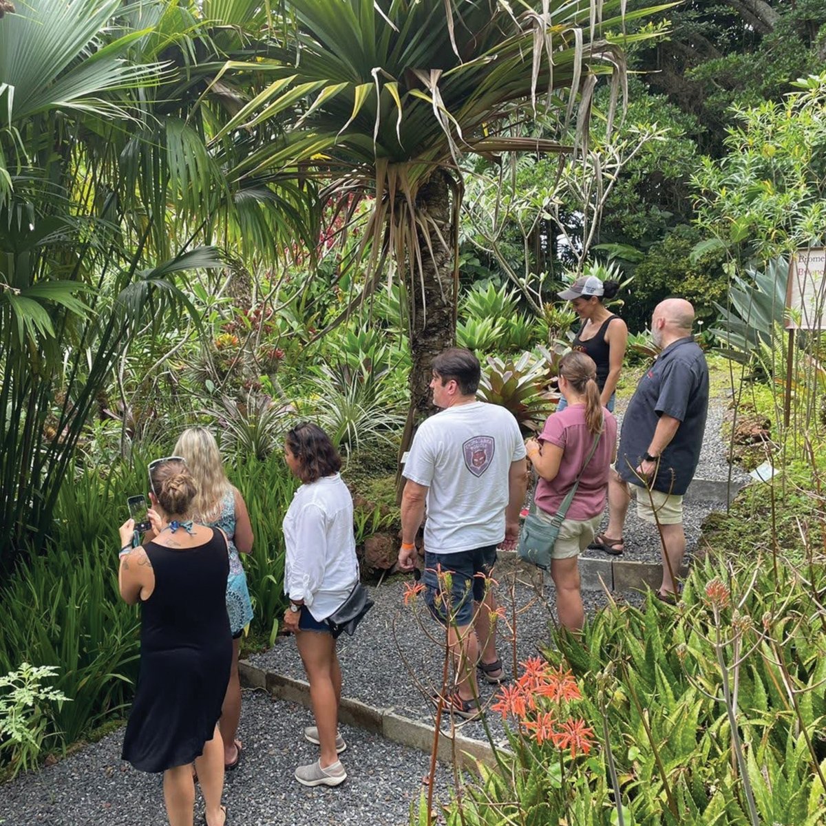 TOUR y DEGUSTACIÓN GUIADA Dia de la Madre - Costa Rica Meadery