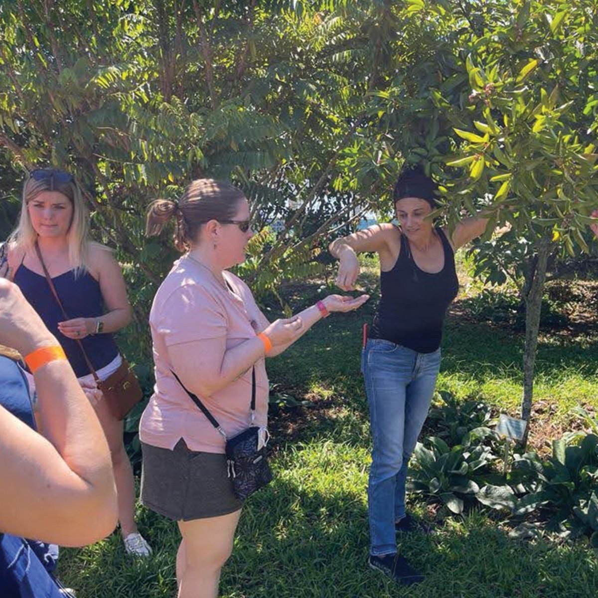 TOUR y DEGUSTACIÓN GUIADA Dia de la Madre - Costa Rica Meadery